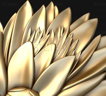 3D model Lotus flower (STL)